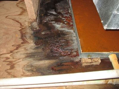 About Water Damage Restoration Roebuck - water damage restoration experts in Roebuck