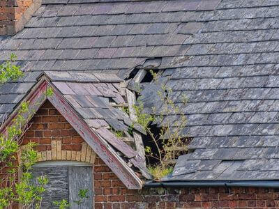 Professional water damage restoration services in Roebuck - Water Damage Restoration Roebuck